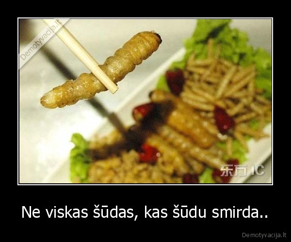 sudai,svente,maistas,kinietiskas,gyvi, kubiliukai