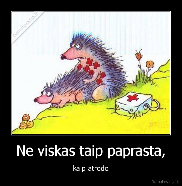 Ne viskas taip paprasta,