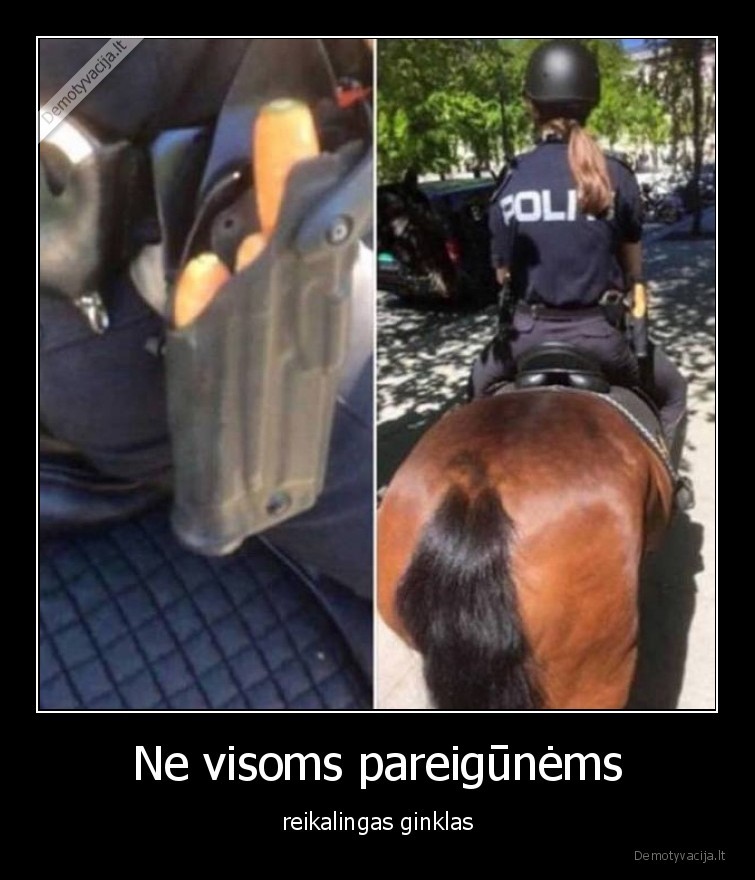 pareigune,arklys,morkos,ginklas,merginos