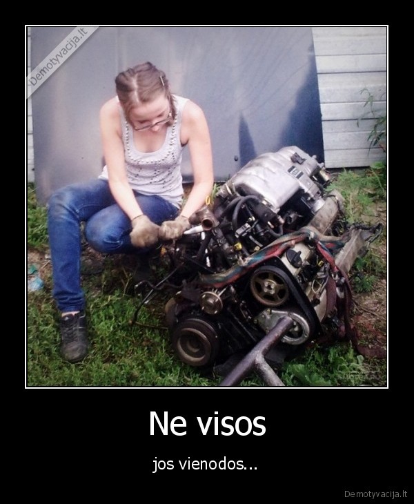 panele,variklis,automobilis