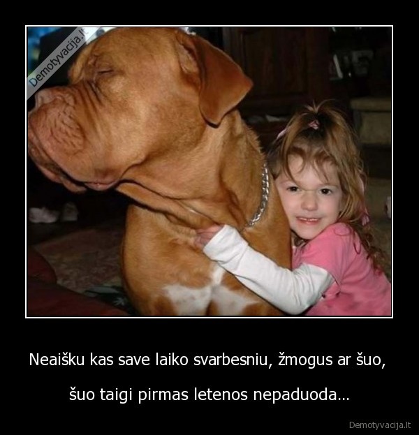 Neaišku kas save laiko svarbesniu, žmogus ar šuo, 