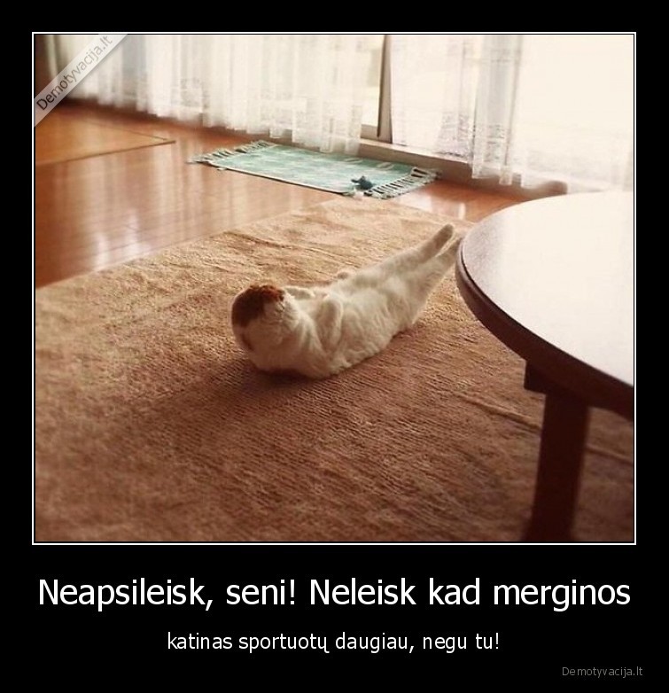 merginos,gyvunai,katinai,katinas,vaikinai,merginos,santykiai,sportas