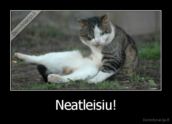 kur, mano, kiausai, a, blet