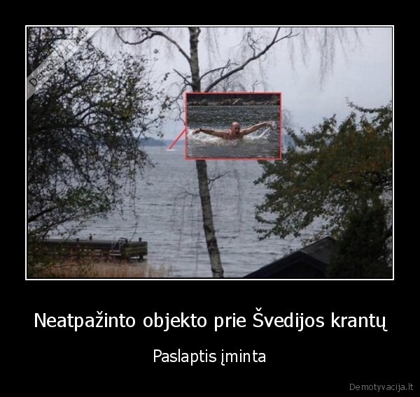 vladimiras, putinas,povandeninis, laivas, prie, svedijos