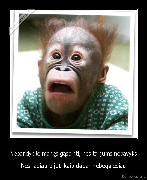 Nebandykite manęs gąsdinti, nes tai jums nepavyks