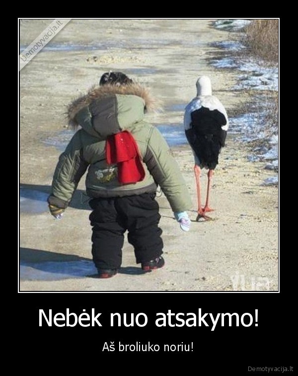 mazas, vaikas,gandras, bega