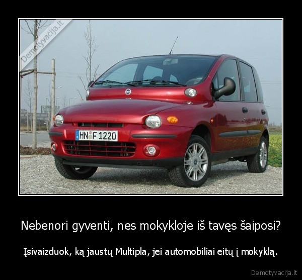 multipla,mokykla