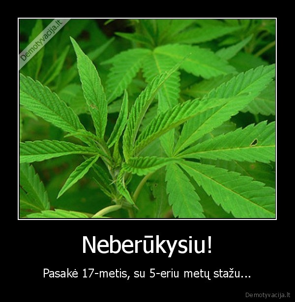 zole, weed, marijuana, rukyti, nuodytis, mirtis, sudas, gaidys