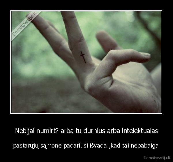 Nebijai numirt? arba tu durnius arba intelektualas