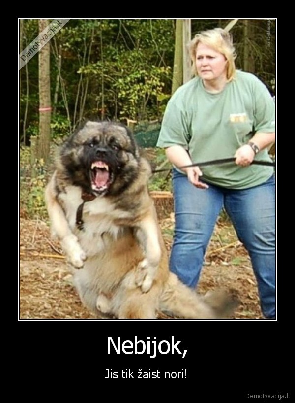 piktas, suo,agresyvus, suo