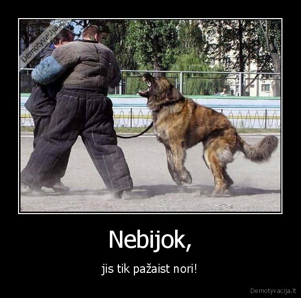 piktas, suo,kovinis, suo