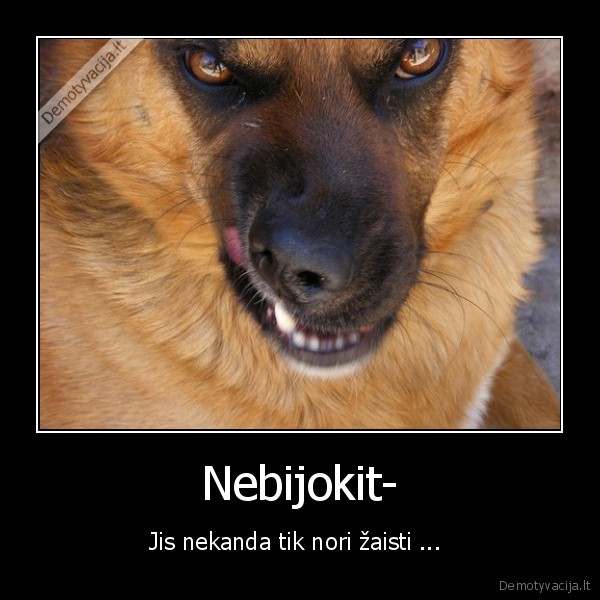 Nebijokit-