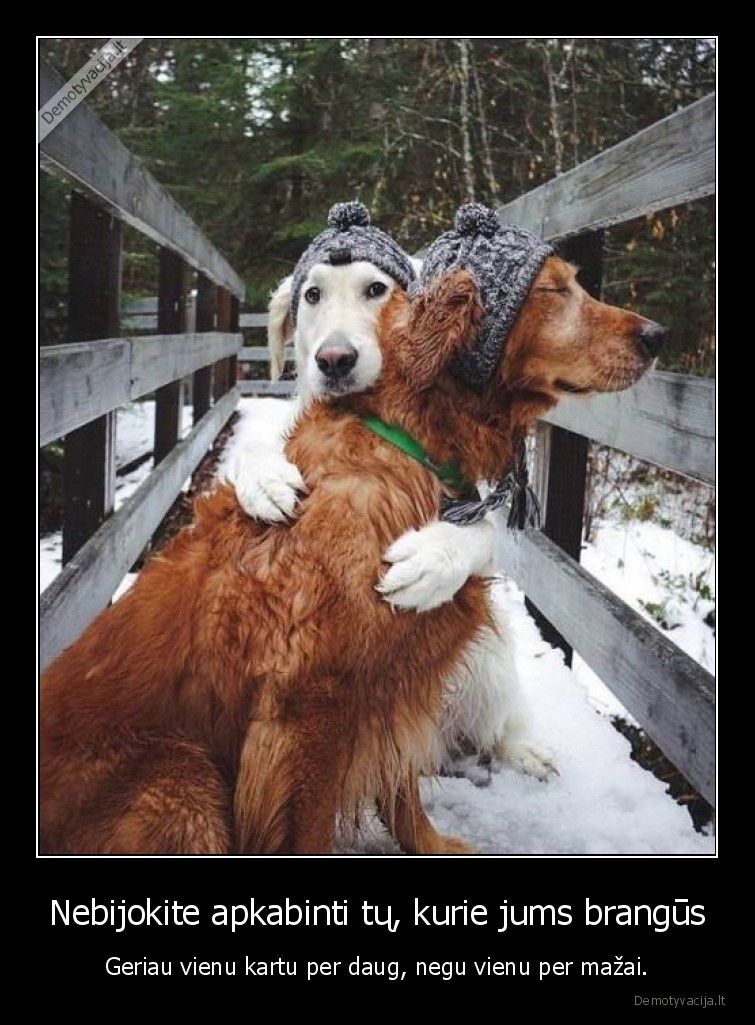 apkabinimai,siluma,artimieji