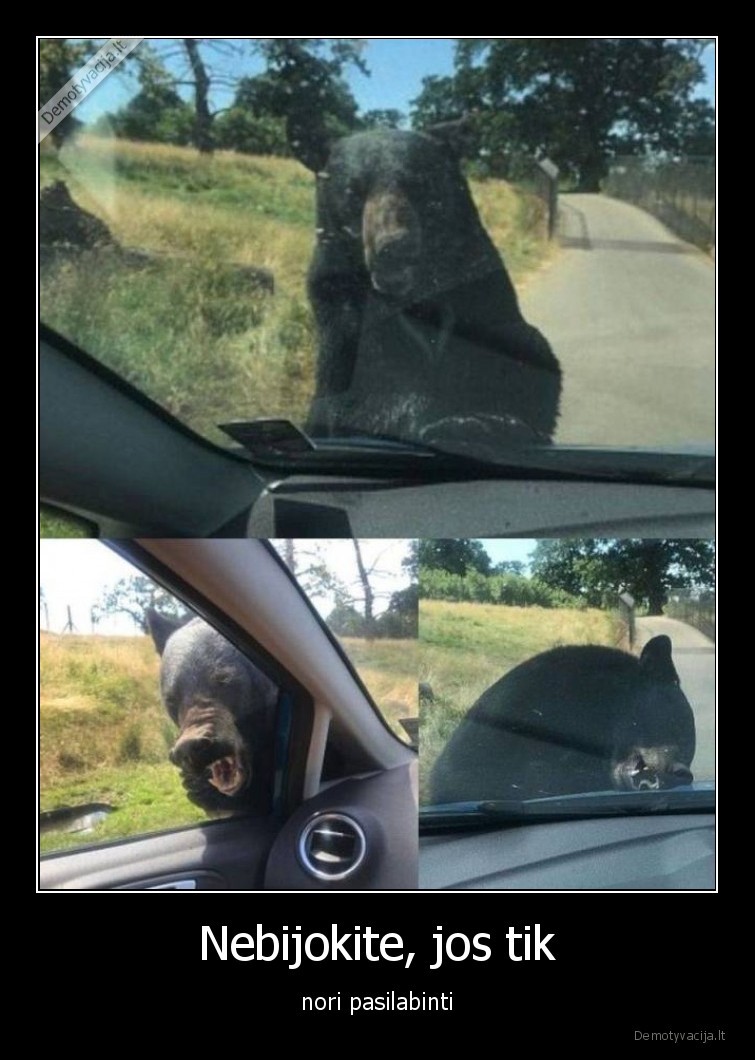 meskos,meska,pasilabinti,labas