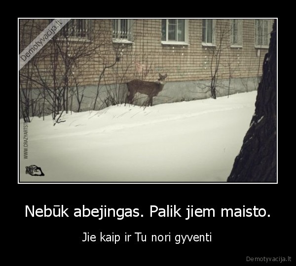 Nebūk abejingas. Palik jiem maisto.