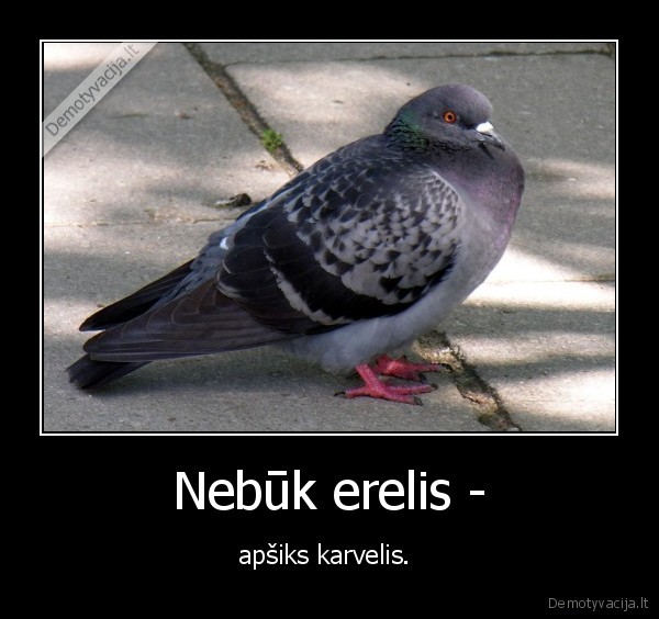 Nebūk erelis -