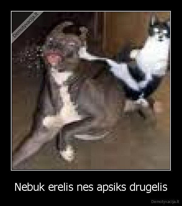 Nebuk erelis nes apsiks drugelis