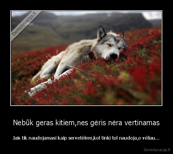 Nebūk geras kitiem,nes gėris nėra vertinamas