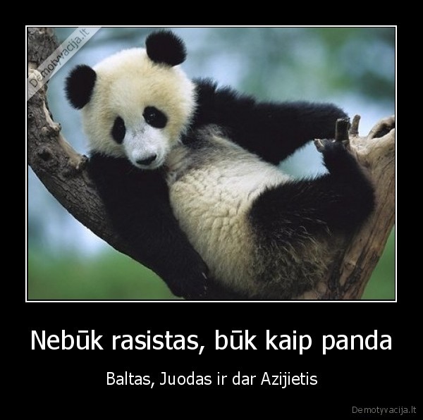 Nebūk rasistas, būk kaip panda