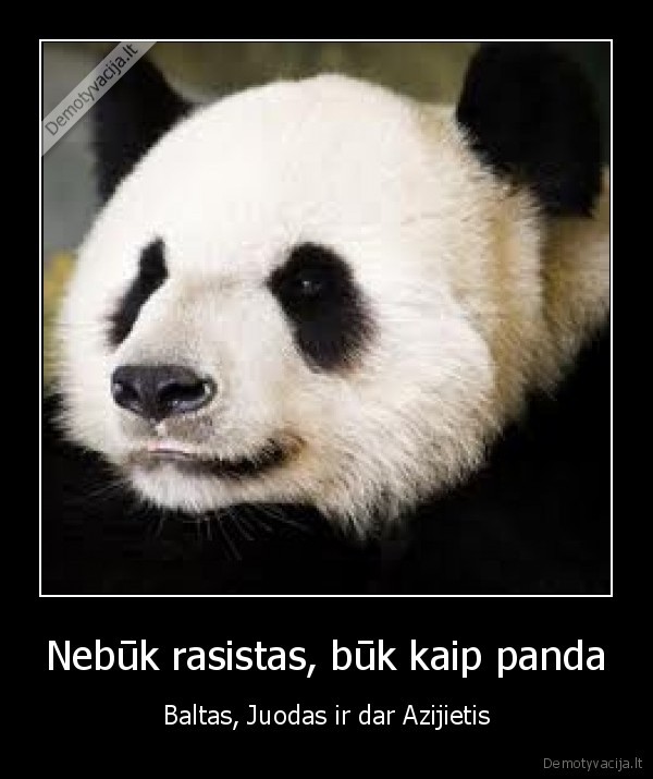 panda,rasistas