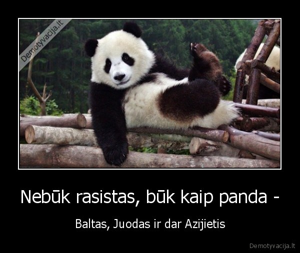 Nebūk rasistas, būk kaip panda -