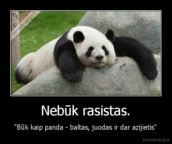 nebuk, rasistas,panda