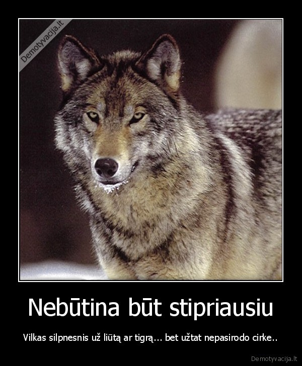 Nebūtina būt stipriausiu