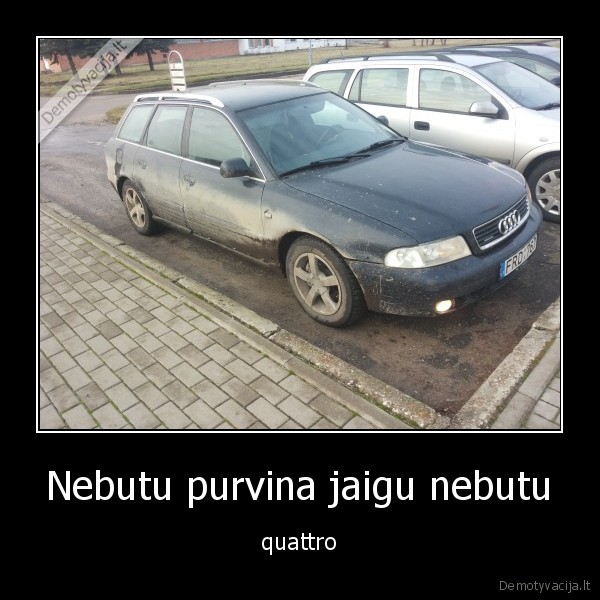 audi,draugai,siaucia,pievos