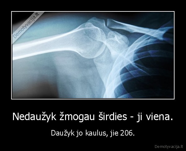 Nedaužyk žmogau širdies - ji viena.