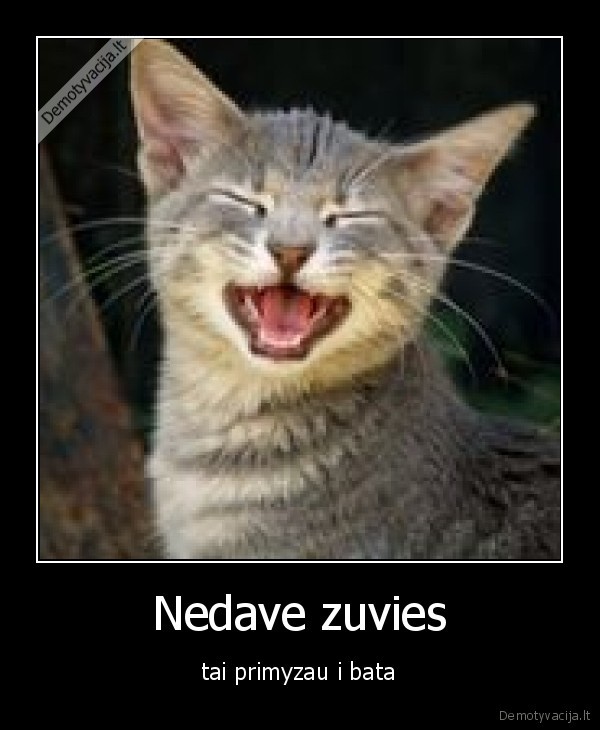 Nedave zuvies