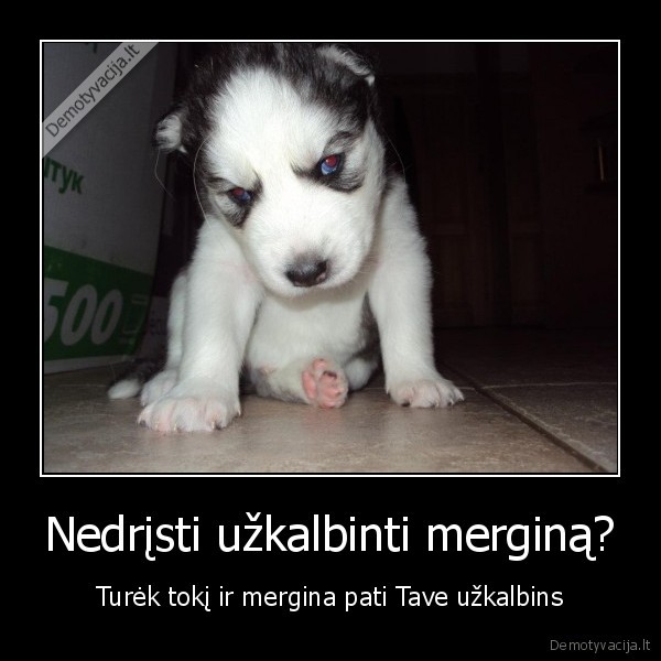 merginu, kabinimas, haskis