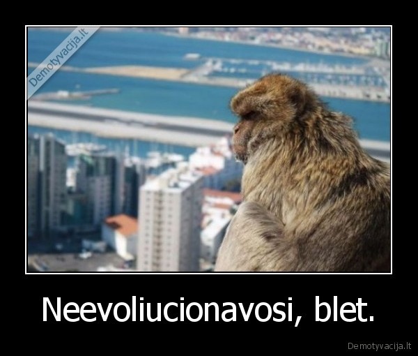 Neevoliucionavosi, blet.