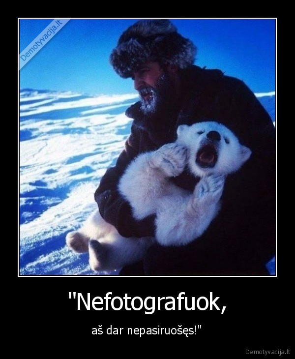 fotografija,nuotrauka,meska,lokys,baltoji, meska,meskiukas