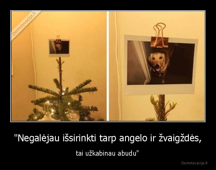 suo,angelas,zvaigzde,eglute