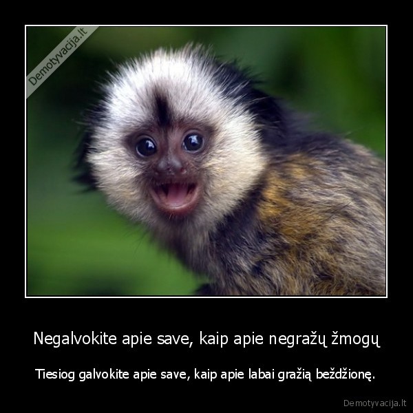 zmogus,grozis,bezdzione