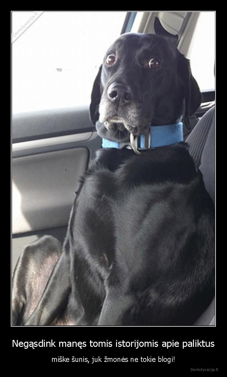 sunys,zmones,ne,blogi,gasdinti