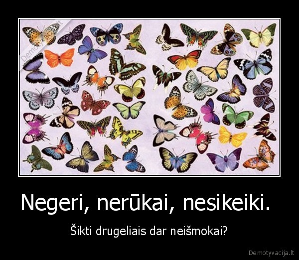 siku, drugeliais