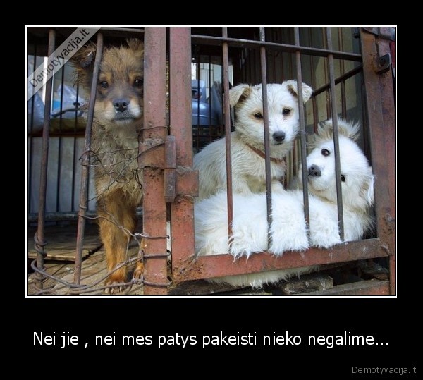 Nei jie , nei mes patys pakeisti nieko negalime...