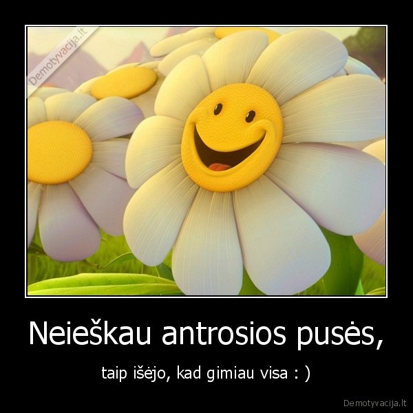 Neieškau antrosios pusės,