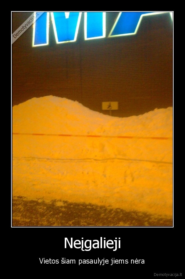 maxima, apie, viska, pagalvota