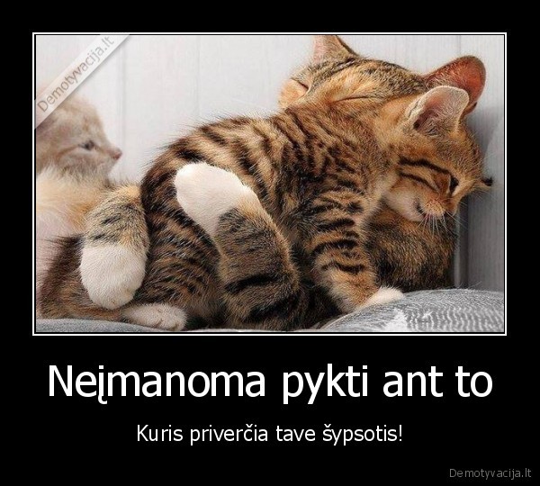 pykti,sypsotis,privercia