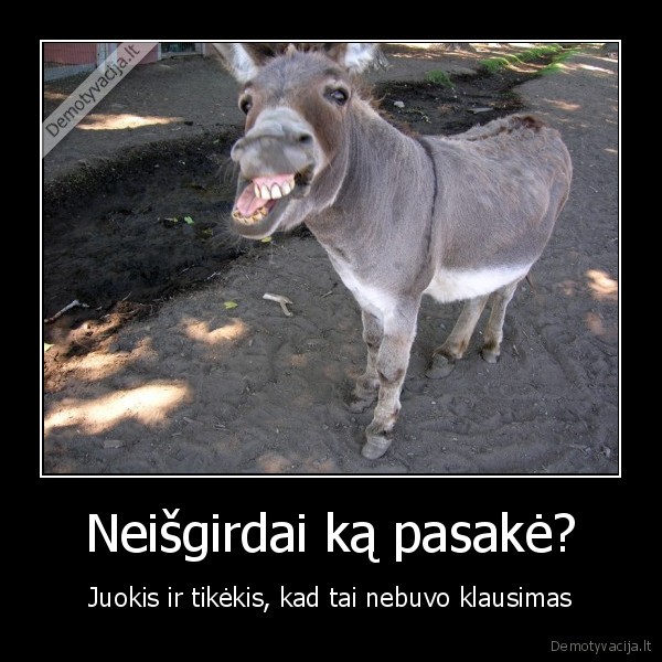 asilas,juokas,klausimas