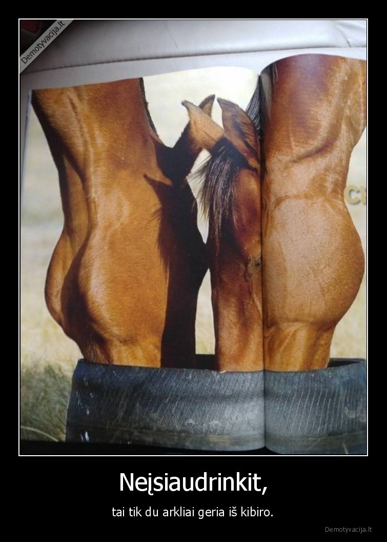 arkliai,iliuzija,kibiras