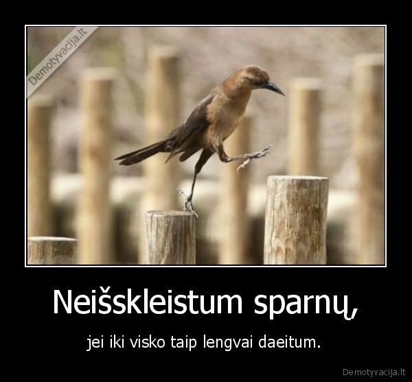 Neišskleistum sparnų,