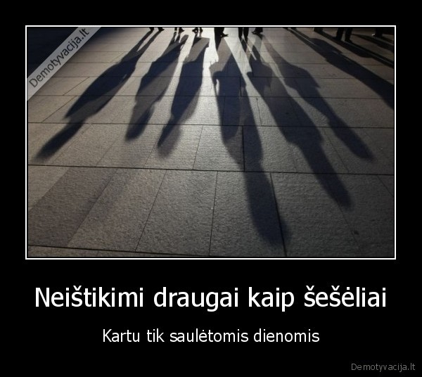 draugai,seseliai,neistikimi