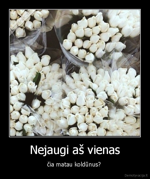 koldunai,geles,rozes