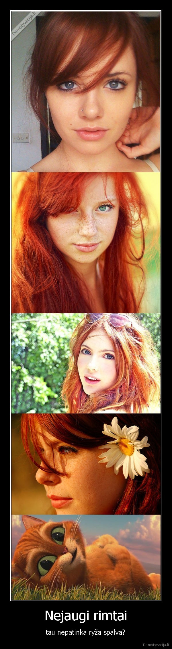 mano, avataras, irgi, ryzas