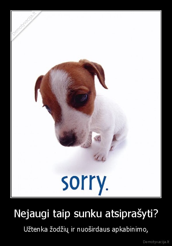 Nejaugi taip sunku atsiprašyti?