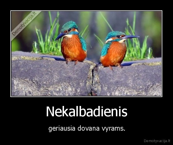 nekalbadienis,geriausia,dovana,vyrams