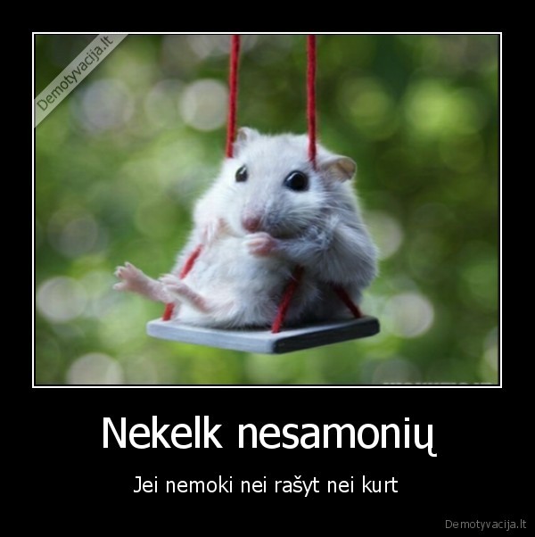 pele,gyvunai,supynes